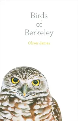 Vtáky z Berkeley - Birds of Berkeley