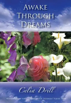 Prebúdzanie cez sny - Awake Through Dreams