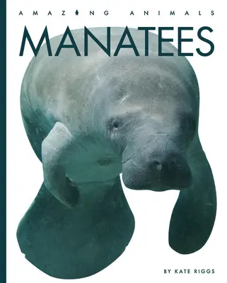 Kapustňáky - Manatees