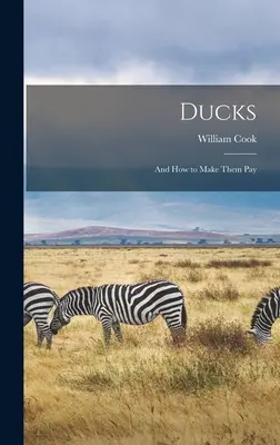 Kačice: A ako ich prinútiť platiť - Ducks: And how to Make Them Pay