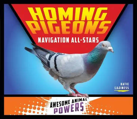 Poštové holuby: Navigácia All-Stars - Homing Pigeons: Navigation All-Stars