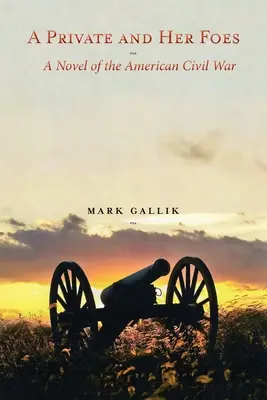 Súkromníčka a jej nepriatelia: Román z americkej občianskej vojny - A Private and Her Foes: A Novel of the American Civil War