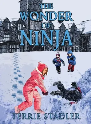 Zázrak nindžu - The Wonder of Ninja
