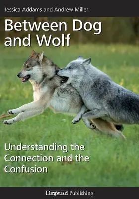 Medzi psom a vlkom: Pochopenie spojenia a zmätku - Between Dog and Wolf: Understanding the Connection and the Confusion