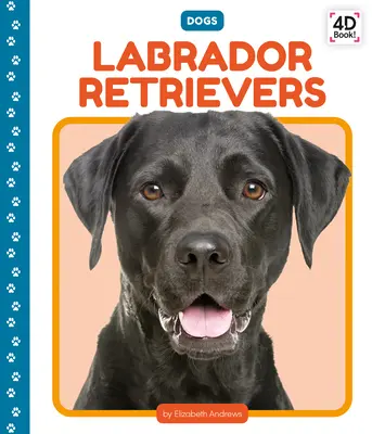Labradorský retriever - Labrador Retrievers