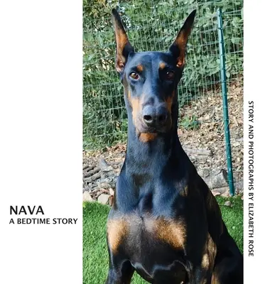 Nava: Príbeh na dobrú noc - Nava: A Bedtime Story