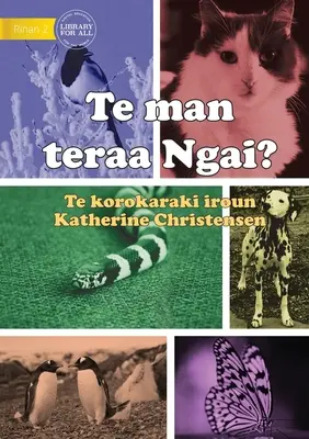 Aké zviera som? - Te man teraa Ngai? (Te Kiribati) - What Animal am I? - Te man teraa Ngai? (Te Kiribati)