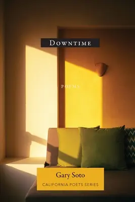Prestávka - Downtime