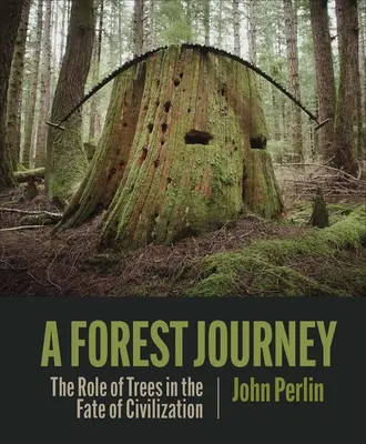 Cesta lesom: Úloha stromov v osude civilizácie - A Forest Journey: The Role of Trees in the Fate of Civilization