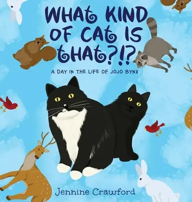 Čo je to za mačku?!?? A Day in the Life of Jojo Bynx - What Kind of Cat is That?!?: A Day in the Life of Jojo Bynx