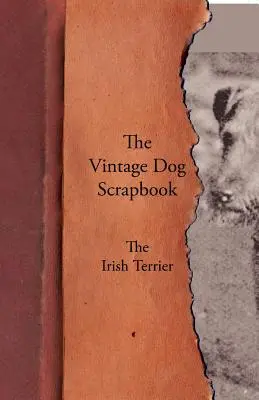 Vintage Dog Scrapbook - Írsky teriér - The Vintage Dog Scrapbook - The Irish Terrier