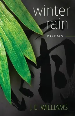 Zimný dážď: Básne - Winter Rain: Poems