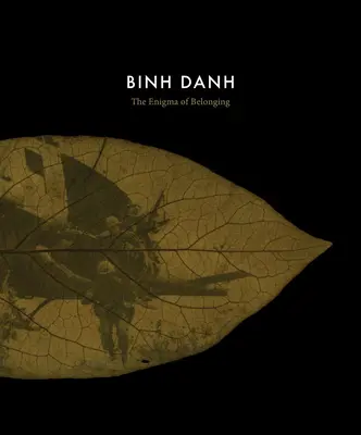 Binh Danh: Záhada príslušnosti - Binh Danh: The Enigma of Belonging