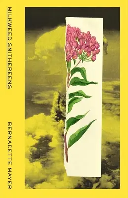 Mliečne kováčiky - Milkweed Smithereens