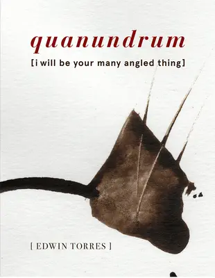 Quanundrum: [I Will Be Your Many Angled Thing]