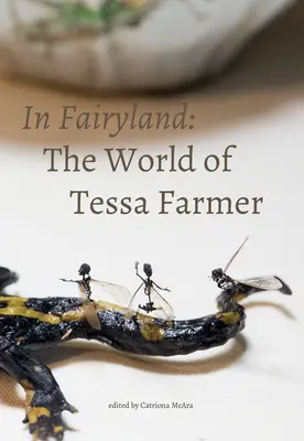 V krajine rozprávok: Svet Tessy Farmerovej - In Fairyland: The World of Tessa Farmer