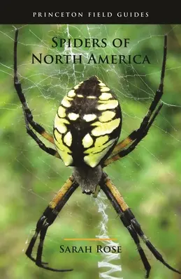 Pavúky Severnej Ameriky - Spiders of North America