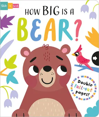 Ako veľký je medveď? - How Big Is a Bear?