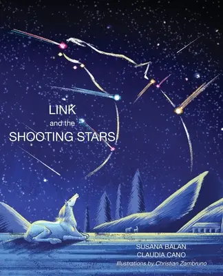 Odkaz a padajúce hviezdy - Link and the Shooting Stars