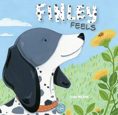 Finley sa cíti - Finley Feels