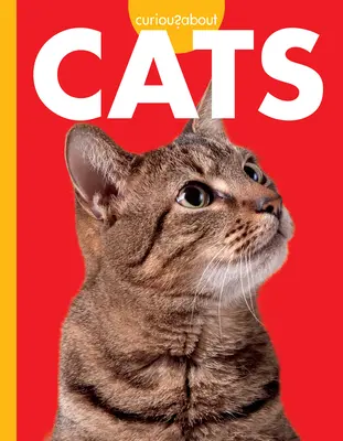 Zvedavosť na mačky - Curious about Cats