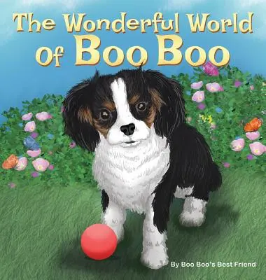 Úžasný svet Boo Boo - The Wonderful World Of Boo Boo