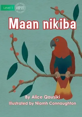 Vtáky - Maan nikiba - Birds - Maan nikiba