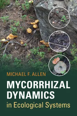 Dynamika mykoríz v ekologických systémoch - Mycorrhizal Dynamics in Ecological Systems