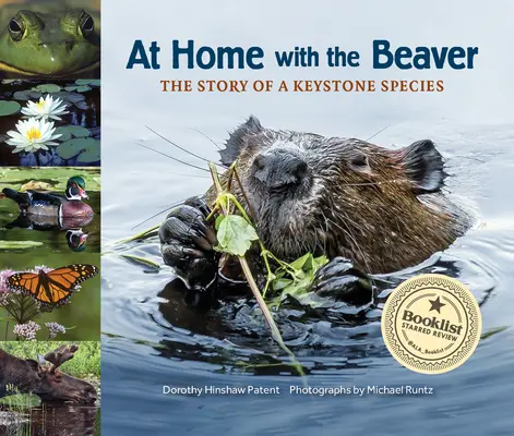 Doma s bobrom: Príbeh kľúčového druhu - At Home with the Beaver: A Story of a Keystone Species