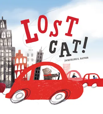 Stratená mačka! - Lost Cat!