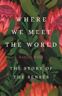 Kde sa stretávame so svetom: Príbeh zmyslov - Where We Meet the World: The Story of the Senses