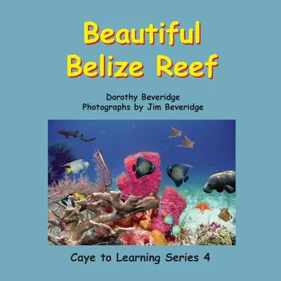 Krásny útes v Belize - Beautiful Belize Reef