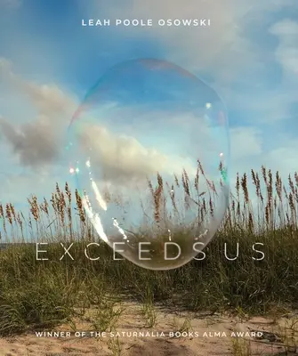 Prekračuje nás - Exceeds Us