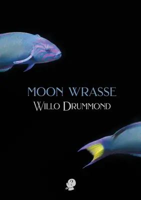 Mesačný vrásčitec - Moon Wrasse