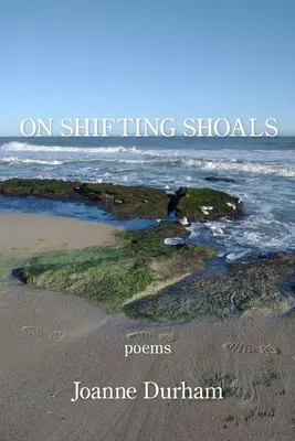 O posunutých plytčinách - On Shifting Shoals