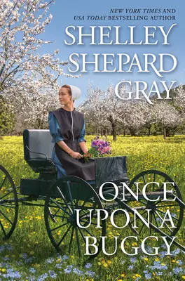 Raz na bugine - Once Upon a Buggy