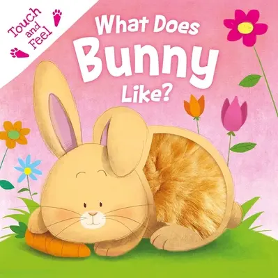 Čo má rád zajačik?: S knihou na dotyk a ohmatávanie - What Does Bunny Like?: Touch & Feel Board Book