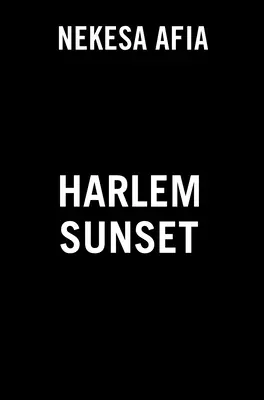 Západ slnka v Harleme - Harlem Sunset