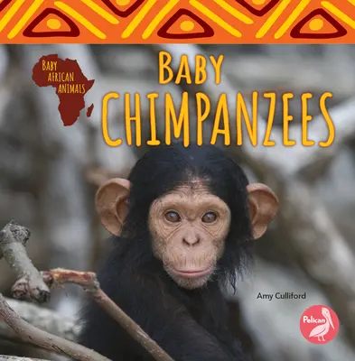 Šimpanzie mláďatá - Baby Chimpanzees