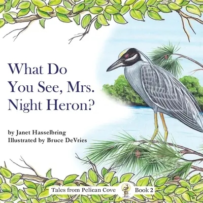 Čo vidíte, pani nočná volavka? - What Do You See, Mrs. Night Heron?
