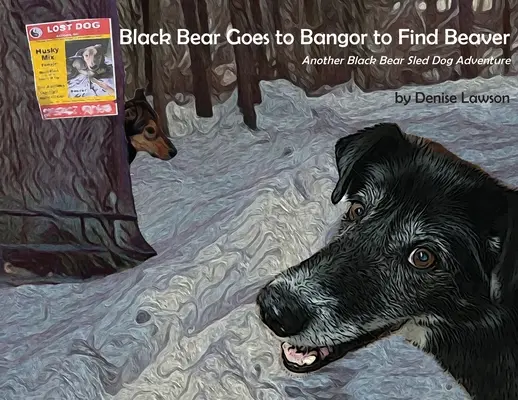 Čierny medveď ide do Bangoru hľadať bobra: Ďalšie dobrodružstvo čierneho medveďa so psím záprahom - Black Bear Goes to Bangor to Find Beaver: Another Black Bear Sled Dog Adventure