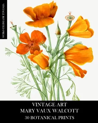 Vintage umenie: Mary Vaux Walcott 30 botanických výtlačkov - Vintage Art: Mary Vaux Walcott 30 Botanical Prints