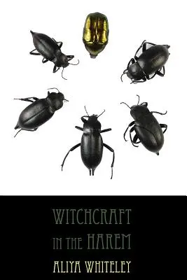 Čarodejníctvo v háreme - Witchcraft in the Harem