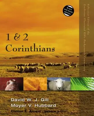 1 a 2 Korinťanom - 1 and 2 Corinthians