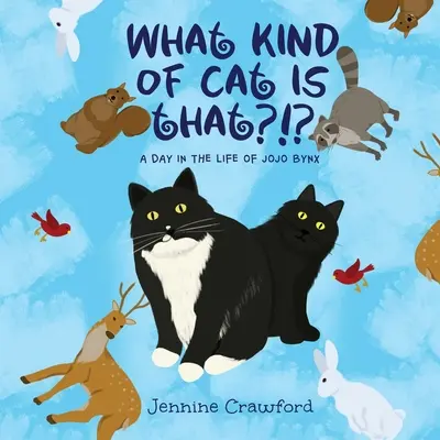Čo je to za mačku?!?? A Day in the Life of Jojo Bynx - What Kind of Cat is That?!?: A Day in the Life of Jojo Bynx