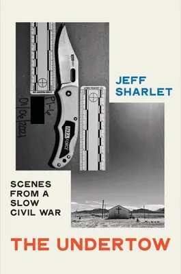 Podvody: Scény z pomalej občianskej vojny - The Undertow: Scenes from a Slow Civil War