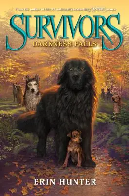 Temnota padá - Darkness Falls