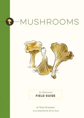 Huby: Ilustrovaný terénny sprievodca - Mushrooms: An Illustrated Field Guide