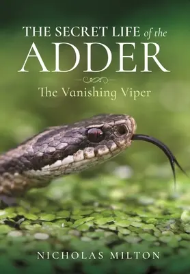Tajný život zmije: Zmiznutie zmije - The Secret Life of the Adder: The Vanishing Viper