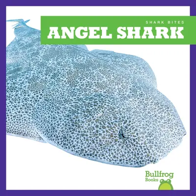 Žralok anjelský - Angel Shark